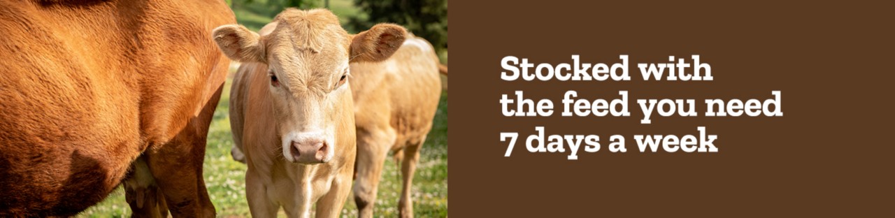 Stocked With The Feed You Need Seven Days A Week.