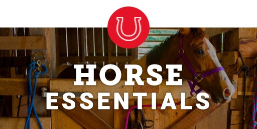 Horse Essentials.