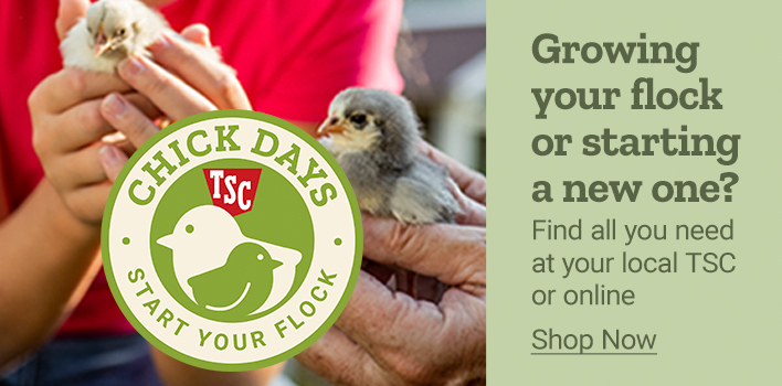 Find all you need for your new chicks  at your local Tractor Supply Co. or online