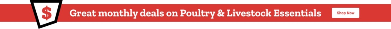 Great monthly deals on poultry and livestock essentials shop now
