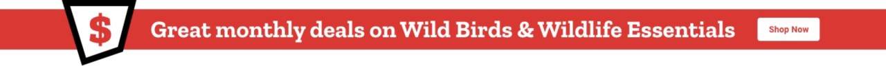 Great monthly deals on wild birds & Wildlife essentials shop now