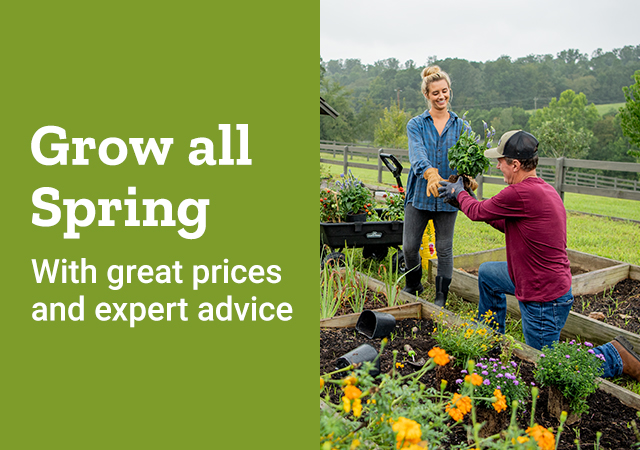 Grow all Spring with great prices and expert advice