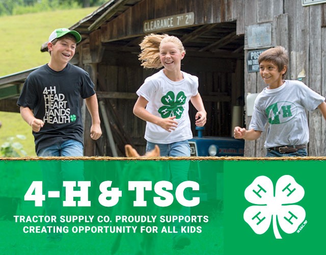 Paper Clover, Donate In-Store or Online, October 6 through 17, for 4-H Camp and Leadership Experiences. No endorsement by 4-H is implied or intended. Use of the 4-H names and emblem is authorized by USDA. 4-H is the youth development program of our nation's Cooperative Extension System. Double Your Donation to 4-H When You Use Your TSC Personal Credit Card. Learn More.
