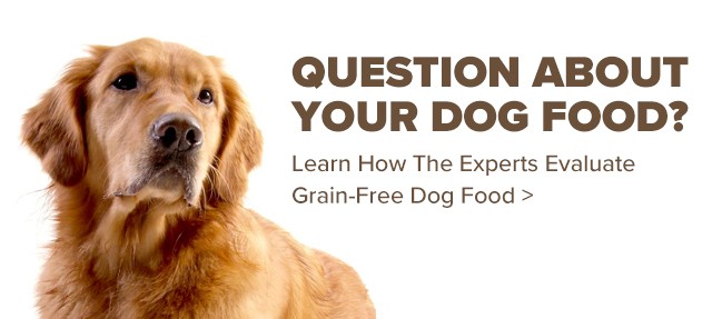 Question About Your Dog Food? Learn How the Experts Evaluate Grain-Free Dog Food.