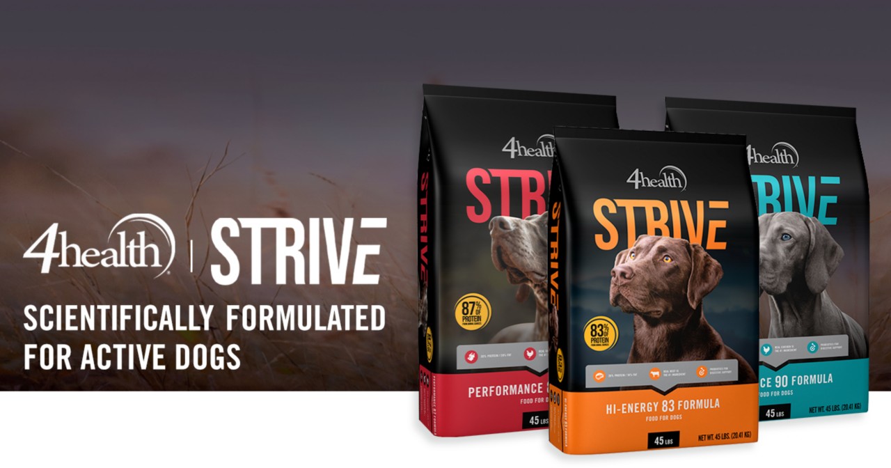 4health, Strive. Scientifically Formulated for Active Dogs.