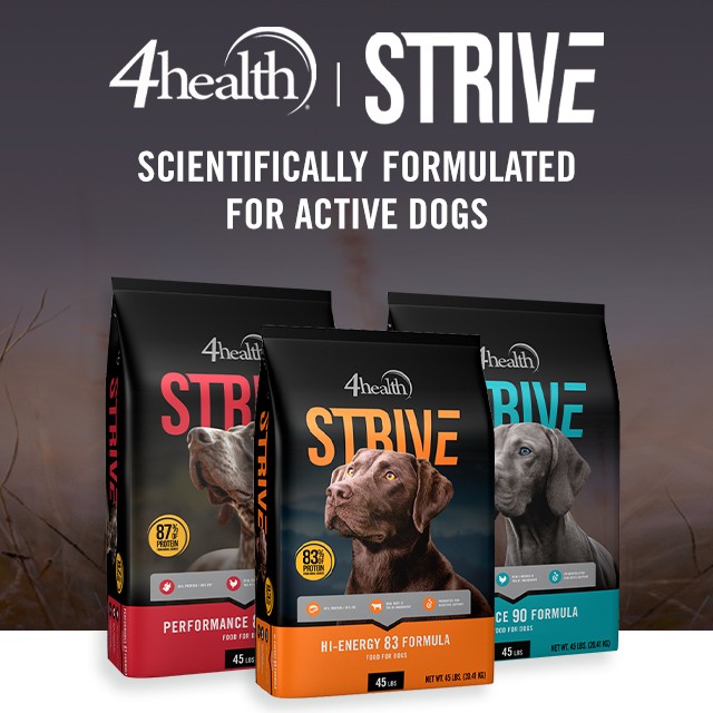 4health, Strive. Scientifically Formulated for Active Dogs.