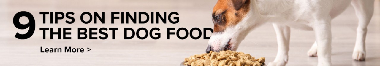 Nine Tips on FInding the Best Dog Food. Learn More.