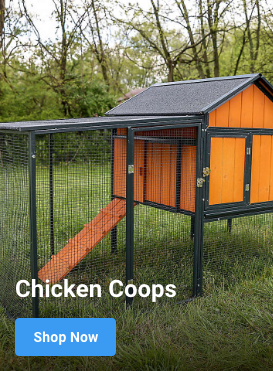 Chicken Coops Shop Now