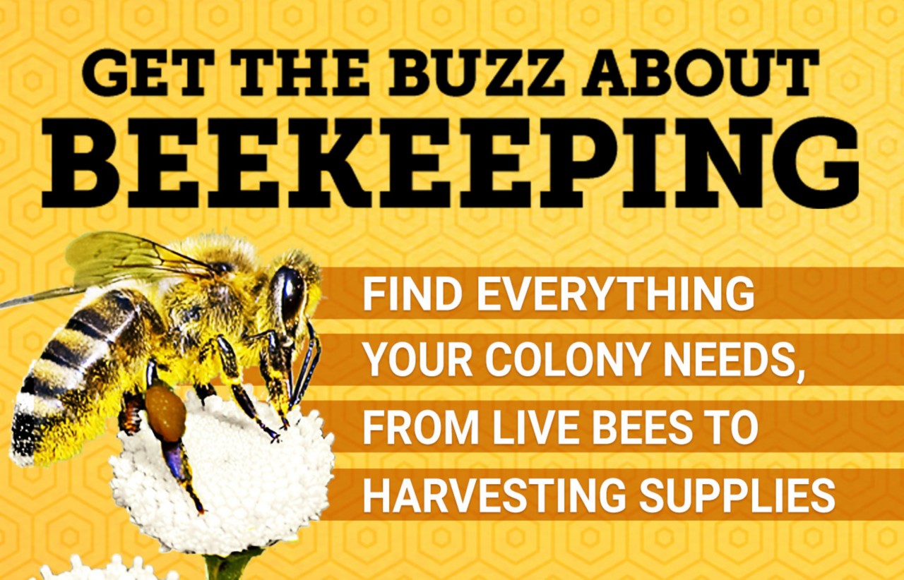 Get the buzz about beekeeping. Find everything your colony needs from live bees to harvesting supplies