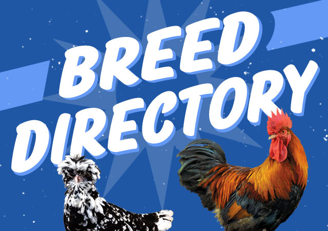 Breed Directory