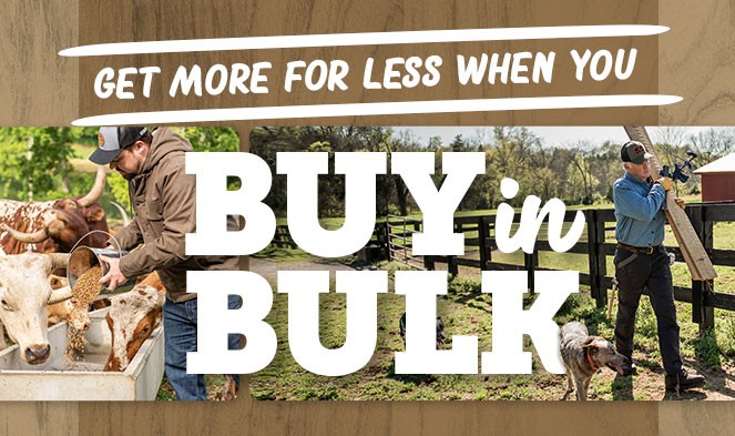 Get More For Less When You Buy in Bulk