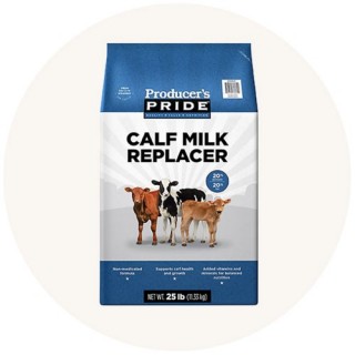 Milk Replacers