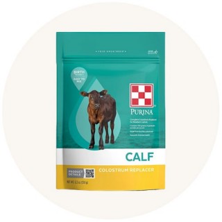Colostrum Supplements