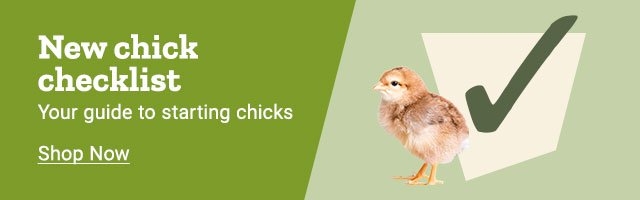 New chick checklist. Your guide to starting chicks. Shop Now