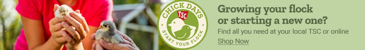 Chick Days TSC Start Your Flock. Growing your flock or starting a new one? Find all you need at your local TSC or online.