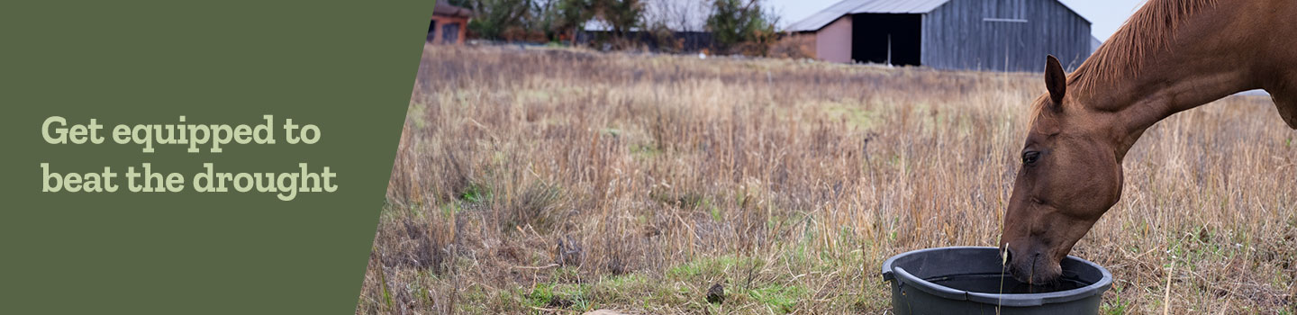 Get equipped to beat the drought.