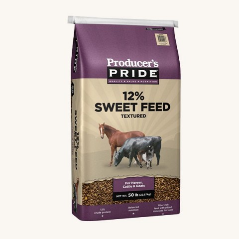 Cattle Feed