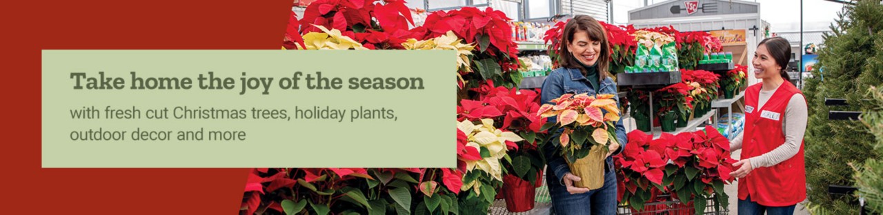 Take home the joy of the season with fresh cut Christmas trees, holiday plants, decor and more