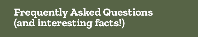 Frequently asked questions and interesting facts