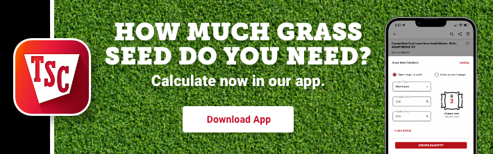 How much grass seed do you need? Calculate now in our app Download now