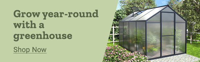 grow all year long with greenhouses
