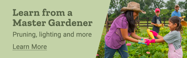 Learn from a master gardener