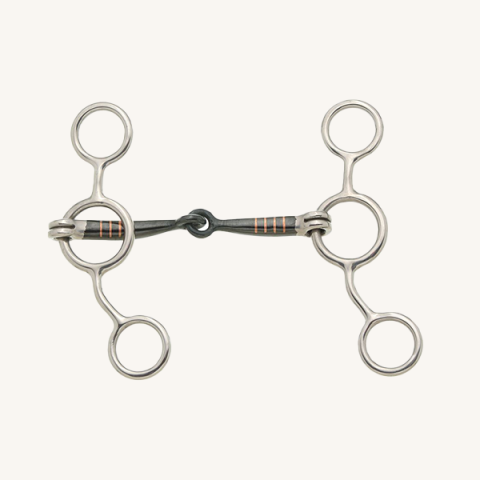 Western Bits & Guards