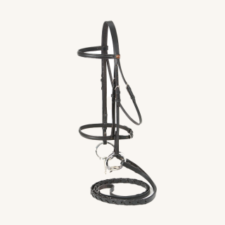 English Bridles