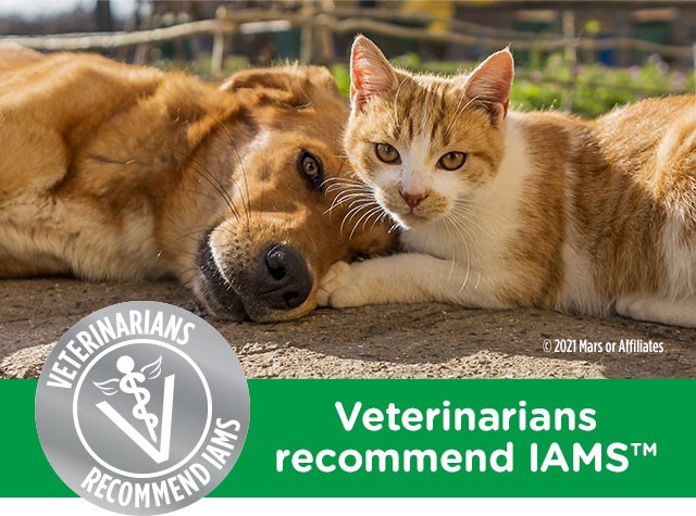 Veterinarians Recommend IAMs.
