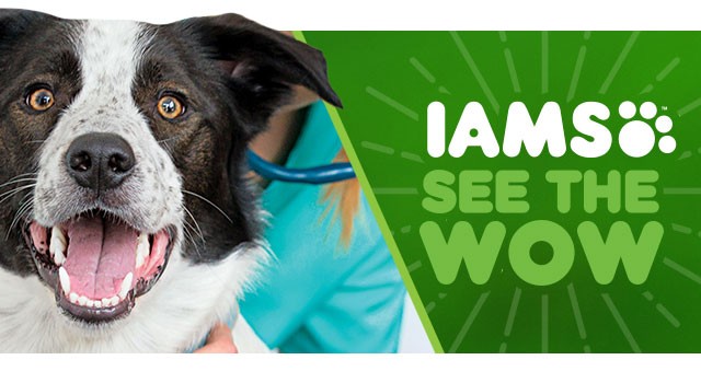 IAMS. See the Wow. Feed Their Uniqueness.