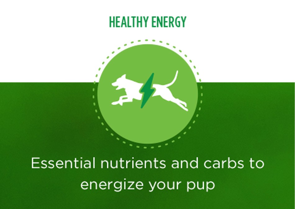 Healthy Energy. Essential nutrients and carbs to energize your pup.