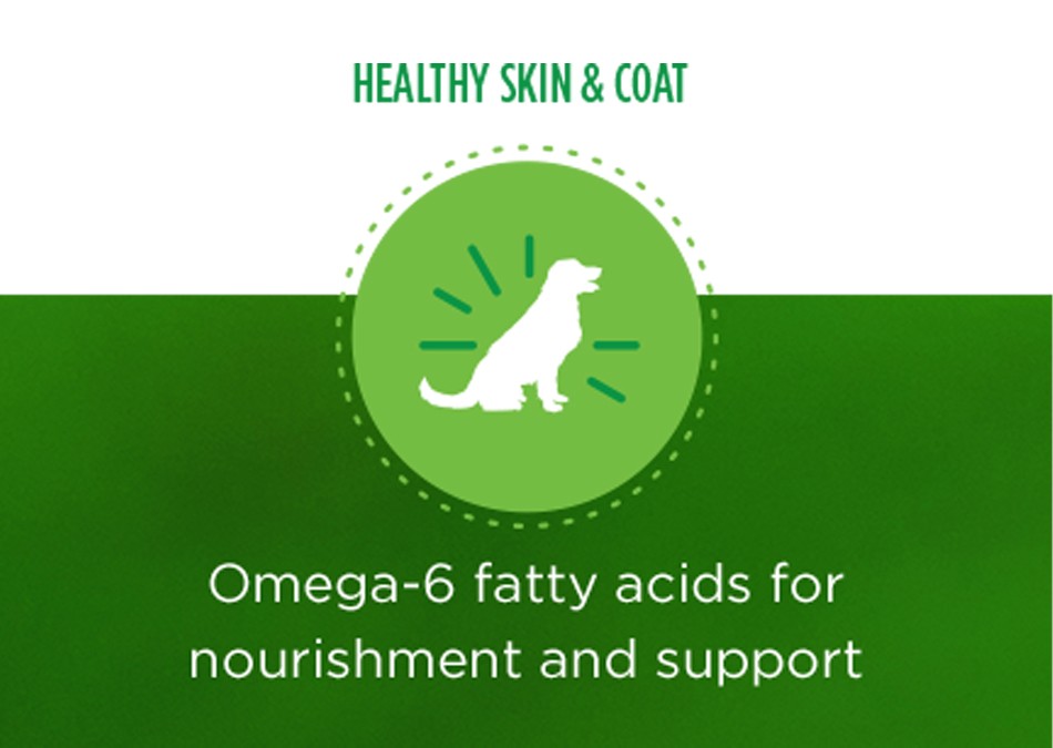 Healthy Skin and Coat. Omega-6 fatty acids for nourishment and support.