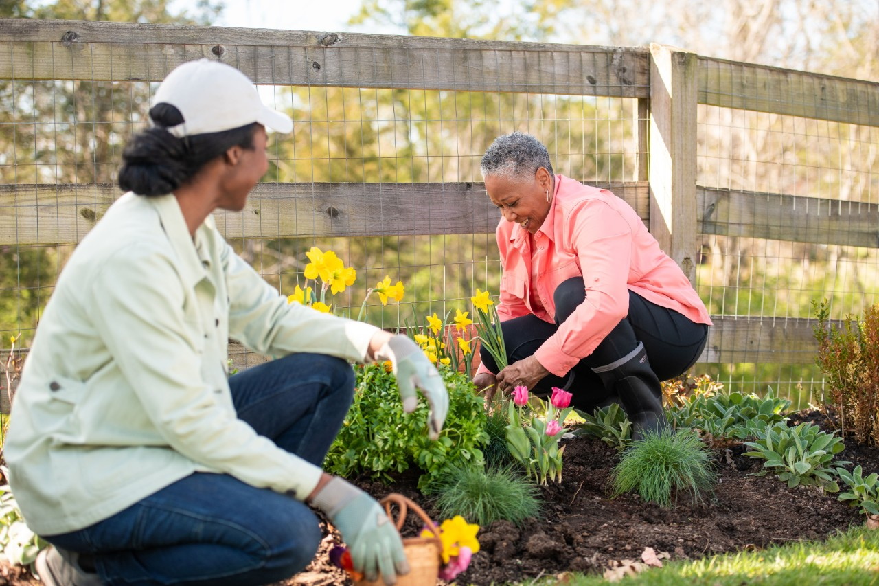 Image of two people working on a garden in front of a split rail fence.