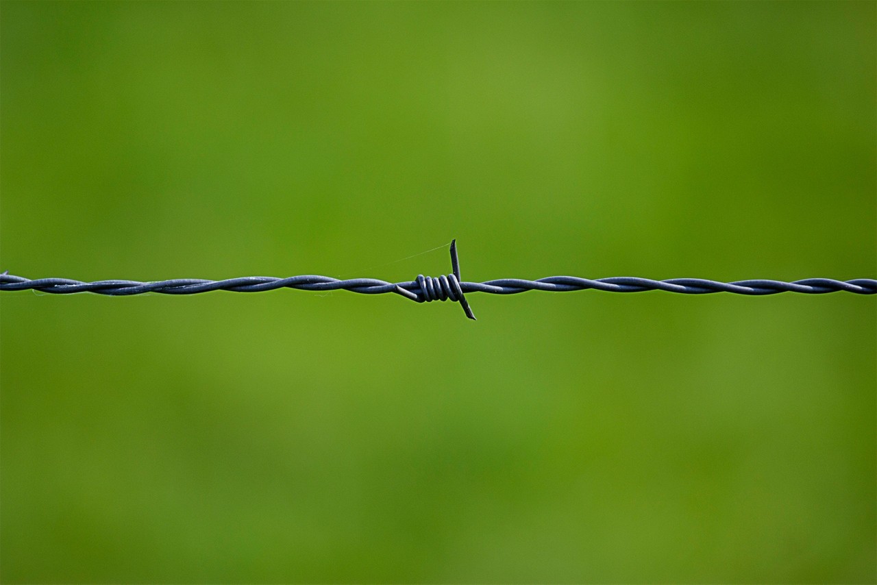 Image of a piece of barbed wire.