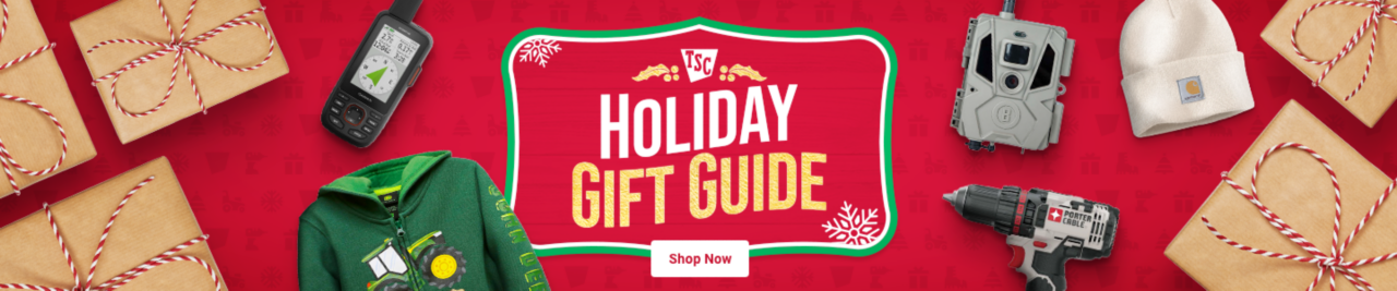 Link to Holiday Gift Guide shopping page