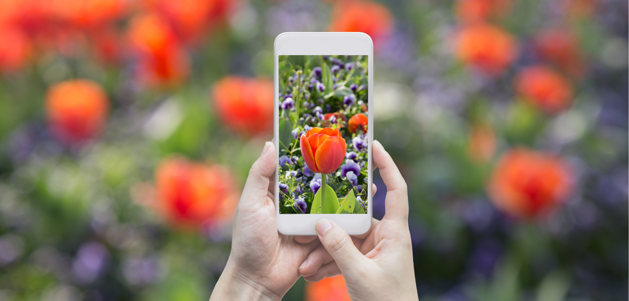5 mobile apps for farming gardening and yard work