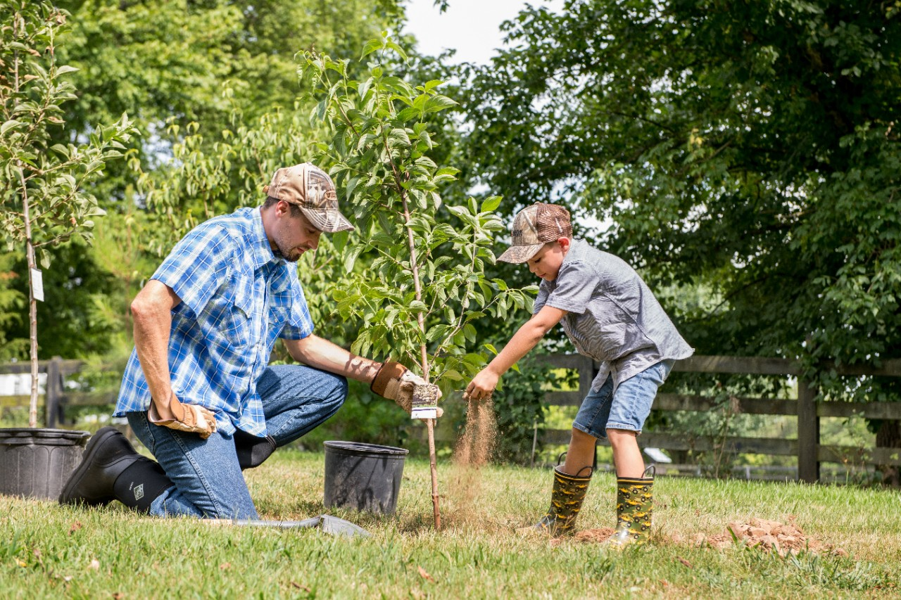 Image of an adult and a child planting a tree.