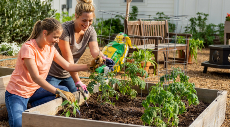 Gardening Beginner? Plant These in the Spring for a Plentiful Autumn Harvest
