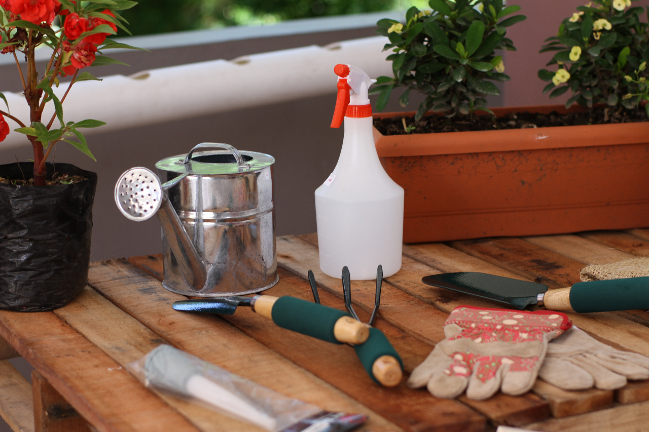 Image of table with clean garden tools.