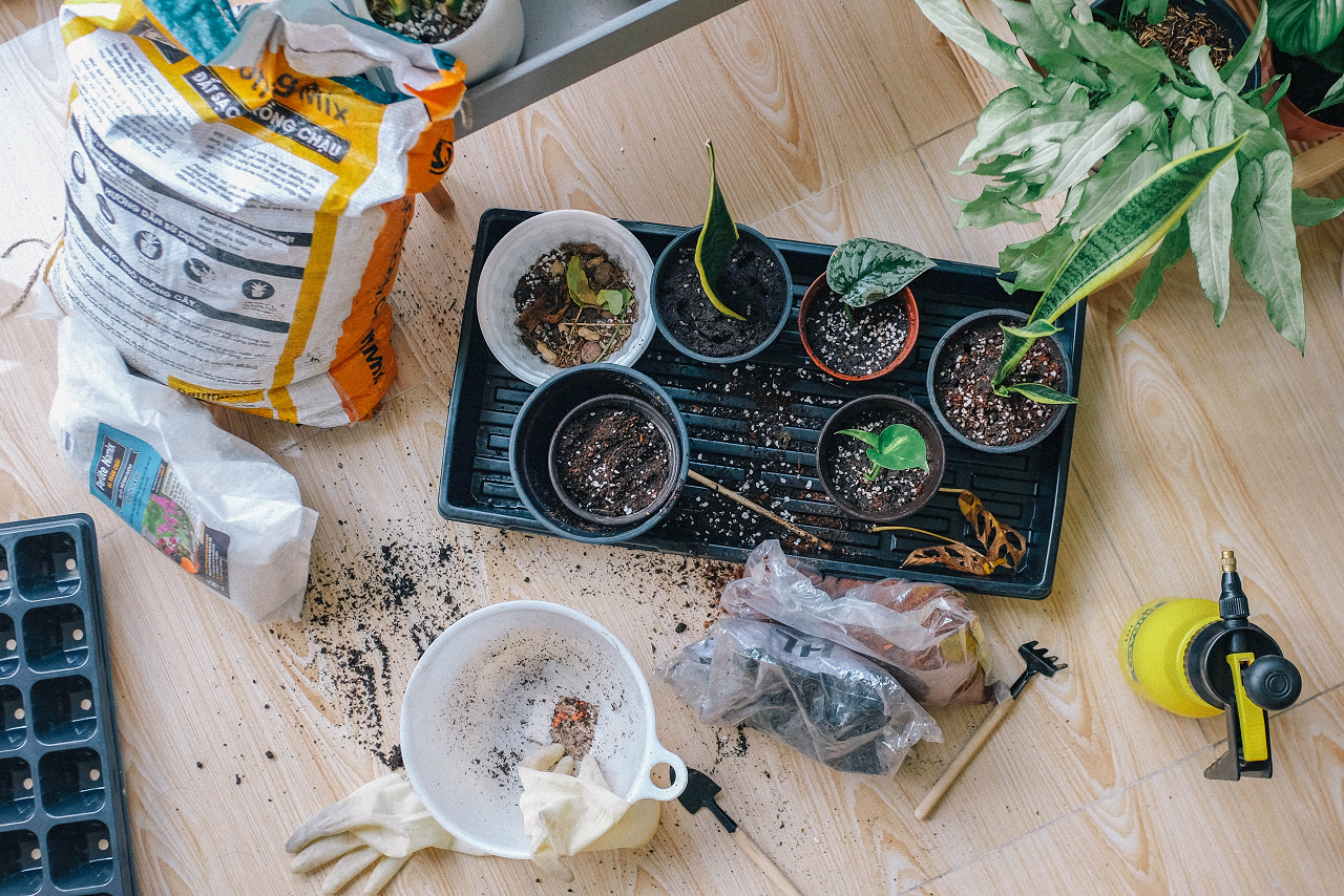 Image of houseplants on the floor with a bag of soil and other care items.