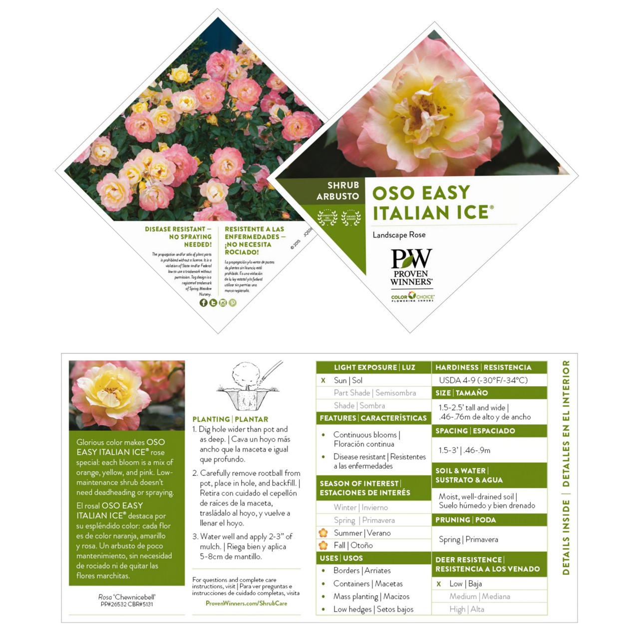Image of a plant tag for a landscape rose.