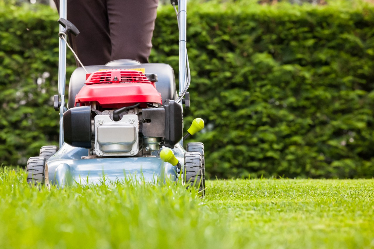 How to Cut Grass and Use a Lawn Mower