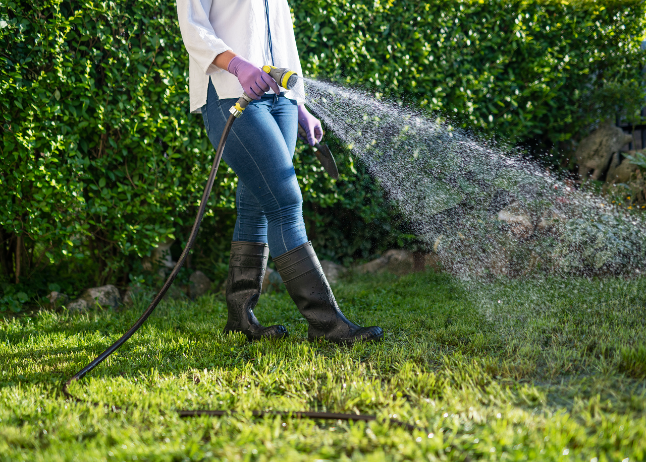 Woman watering lawn with garden hose sprayer.