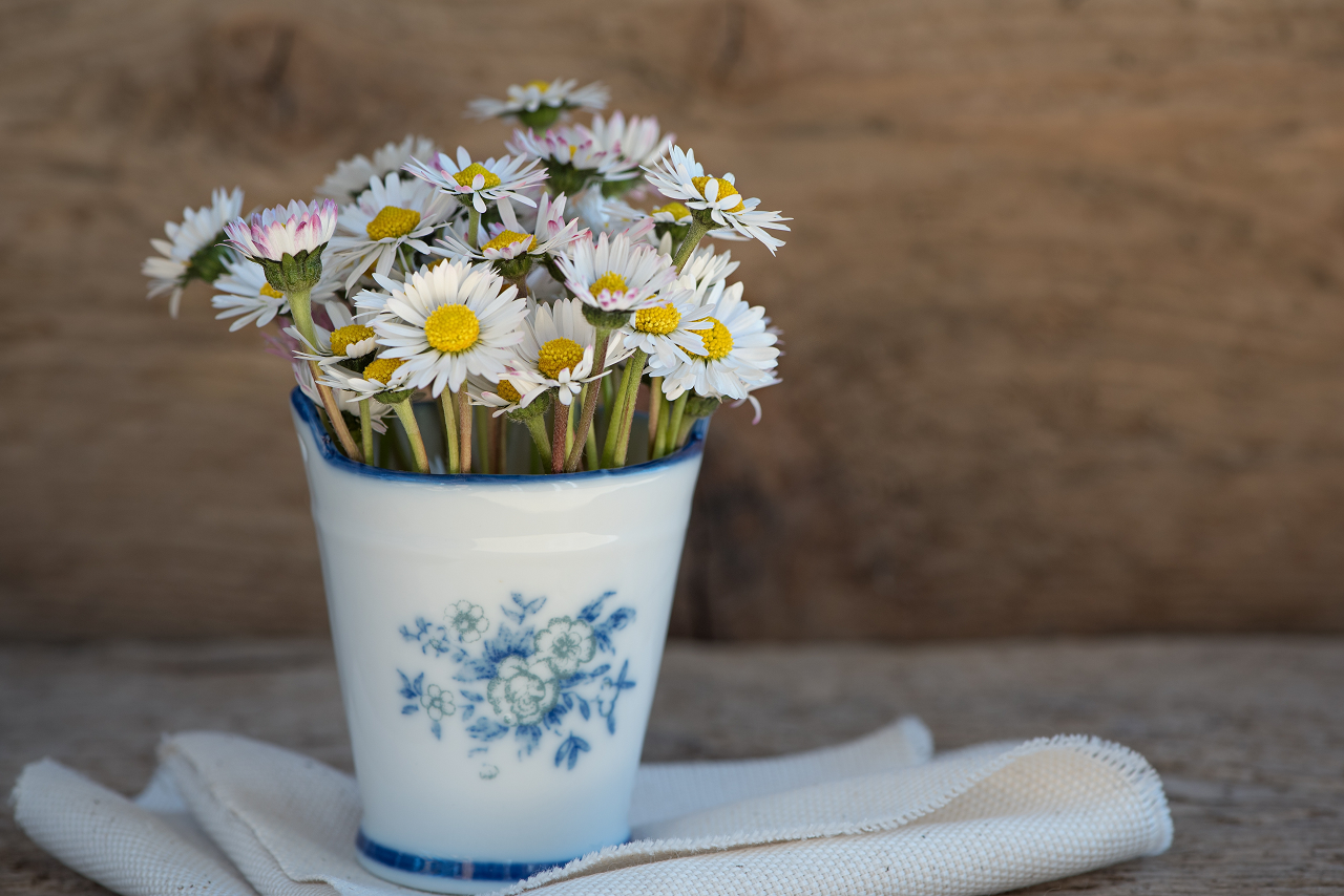 Image of cut daisies in a vase.