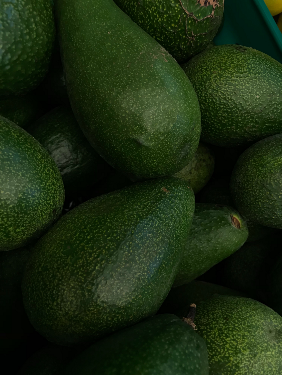 Image of a pile of avocados up close.
