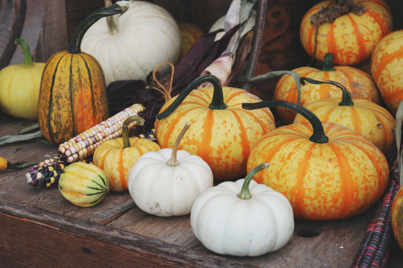 Image of white and orange pumpkins on a table.