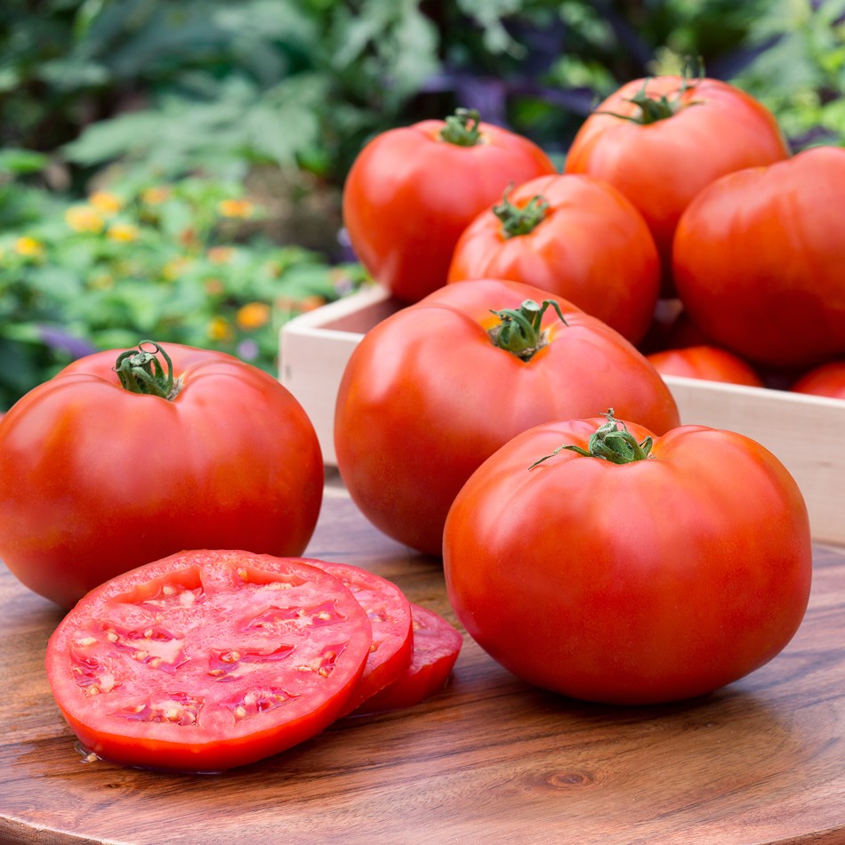 How to Grow Tomatoes Tractor Supply Co.