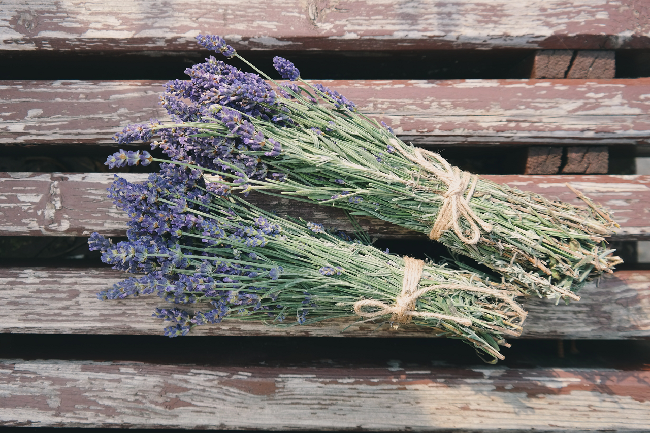 Image of lavender stalks on a wooden fence.