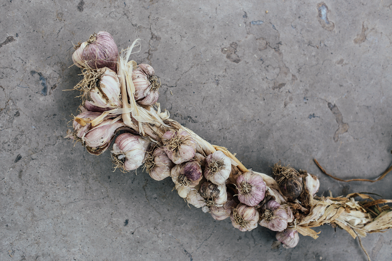 Image of a bushel of garlic.
