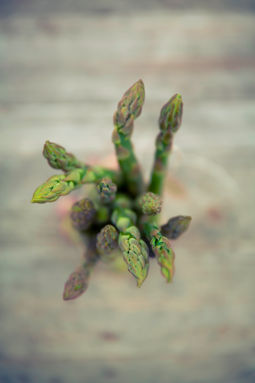 Image of asparagus bunch.